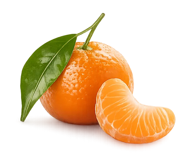 Mandarina fresca decorativa Skarch Twist
